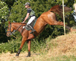 Bei den Deutschen Jugendmeisterschaften in Krusemark kam Lara Bergmann mit Cayenne GS auf Rang 15. Foto: Wego Bei den Deutschen Jugendmeisterschaften in Krusemark kam Lara Bergmann mit Cayenne GS auf Rang 15. Foto: Wego
